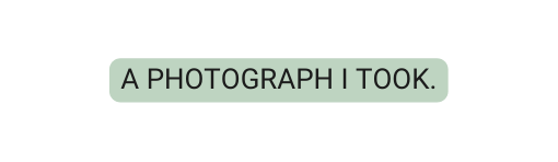 A photograph i took